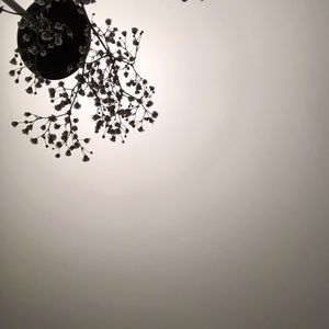 Meet your Posher, Yinuo